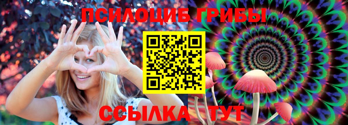 Грозный  Псилоцибиновые грибы Cubensis  Псилоцибиновые грибы мицелий  Вход с VPN 