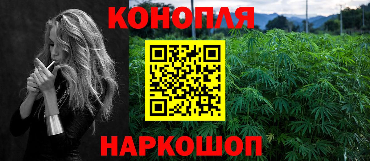 Конопля тримм Грозный