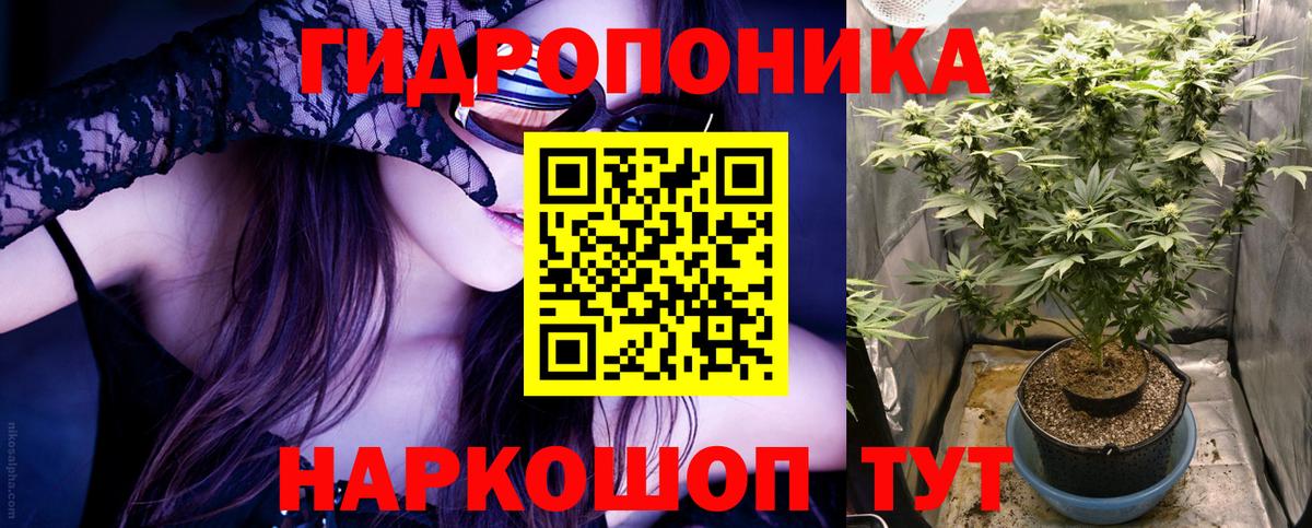 Бошки Шишки SATIVA & INDICA  МАРИХУАНА тримм  Конопля гибрид  Грозный  Вход с VPN 